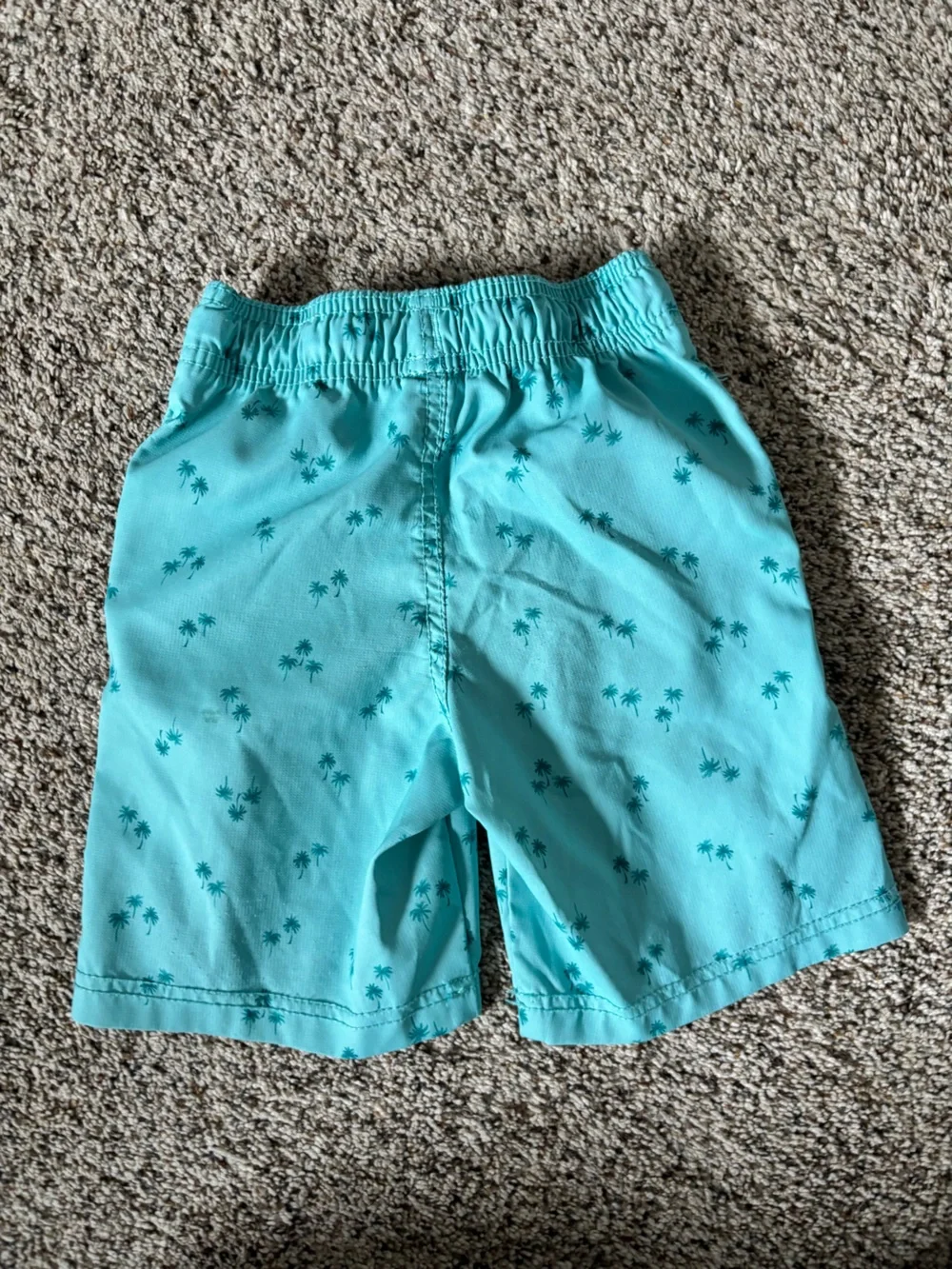 Oshkosh Swim Trunks